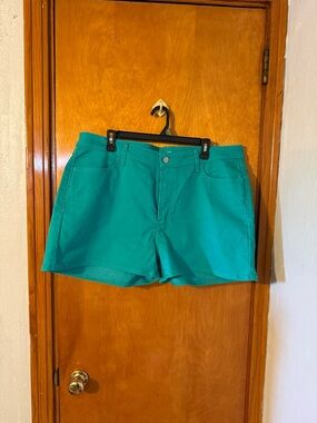 Old Navy Green High Rise Shorts Size 18